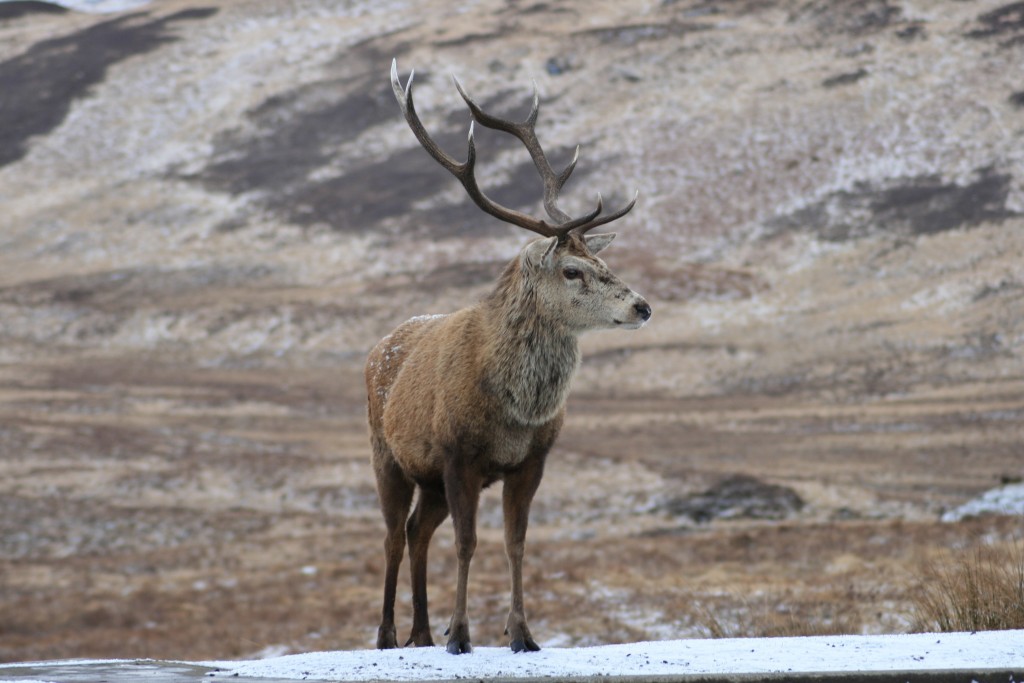 stag-and-hen-parties