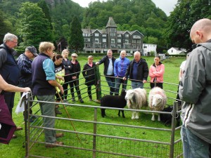 Lake District Events Country Pursuits